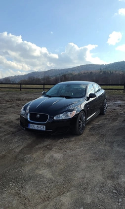 Jaguar XF cena 40000 przebieg: 151000, rok produkcji 2010 z Biecz małe 301